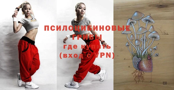 apvp Волоколамск