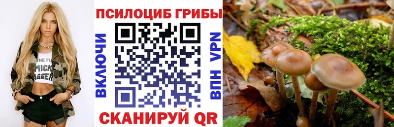 Псилоцибиновые грибы ЛСД  darknet клад  Печоры  где найти  